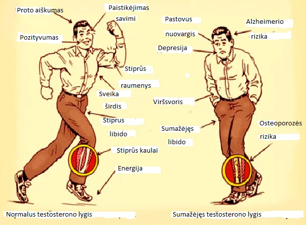 Testosterono trūkumas vyresniems vyrams: ekspertai ragina nepamiršti svarbiausio veiksnio