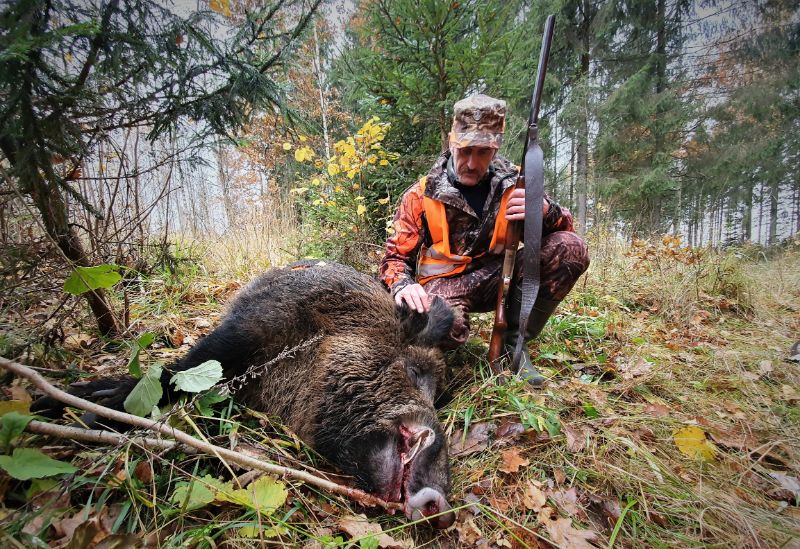 Padėtis darosi kritinė: pavojingas virusas jau išplito dešimtyse regionų