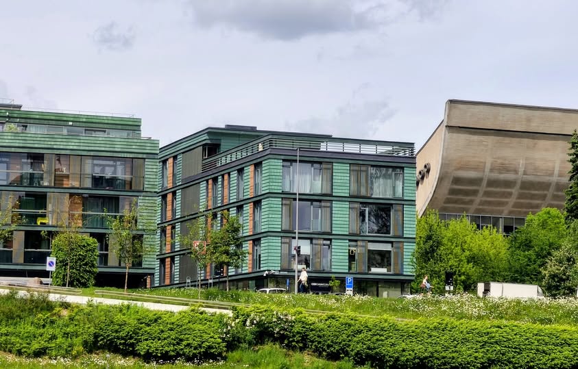 Holokausto industrija ar sąžinės balsas?