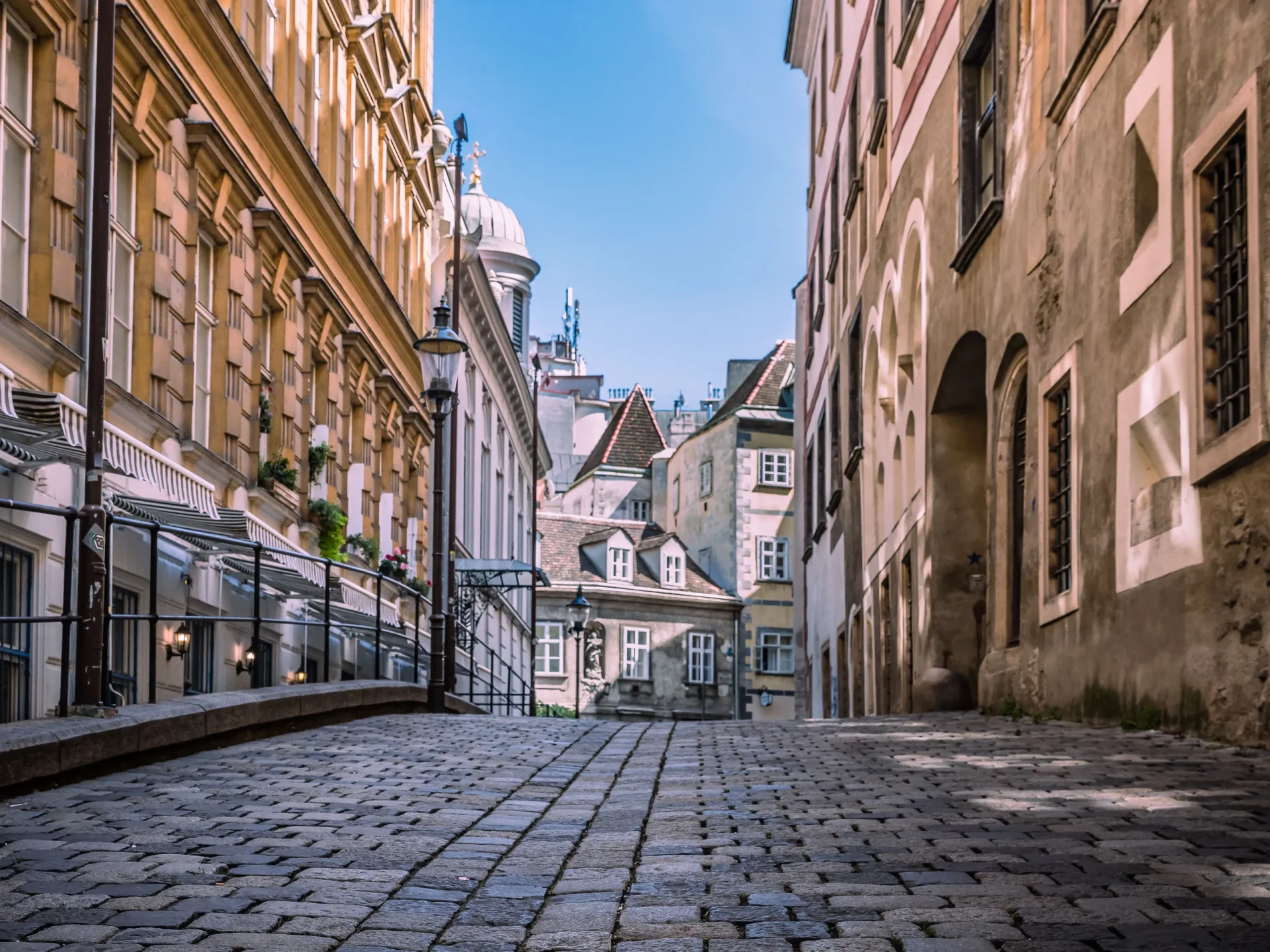 viena4.webp