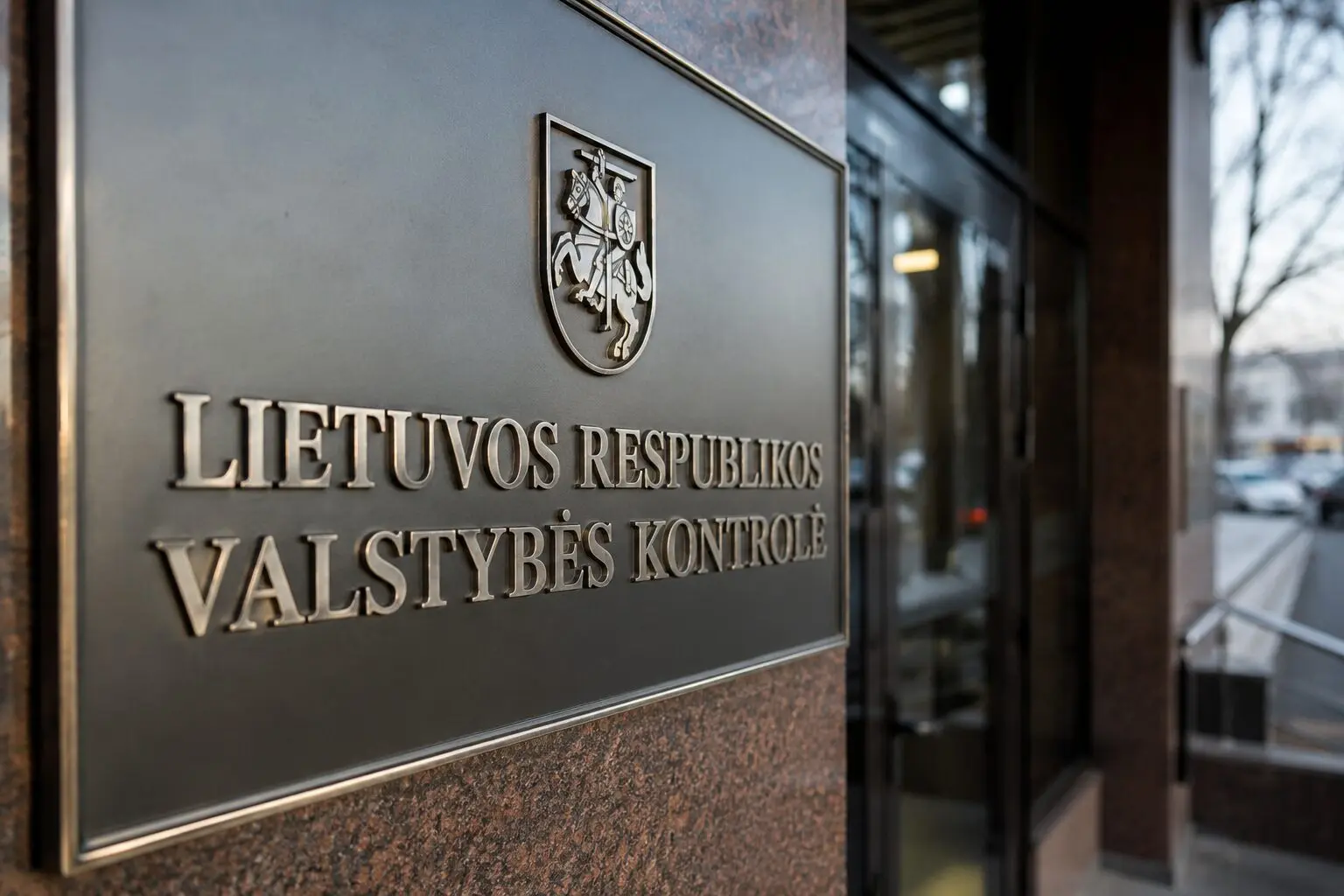 Lietuva lyg pamotė savo piliečiams, bet kaip tikra mama užsieniečiams  gyenantiems   Lietuvoje