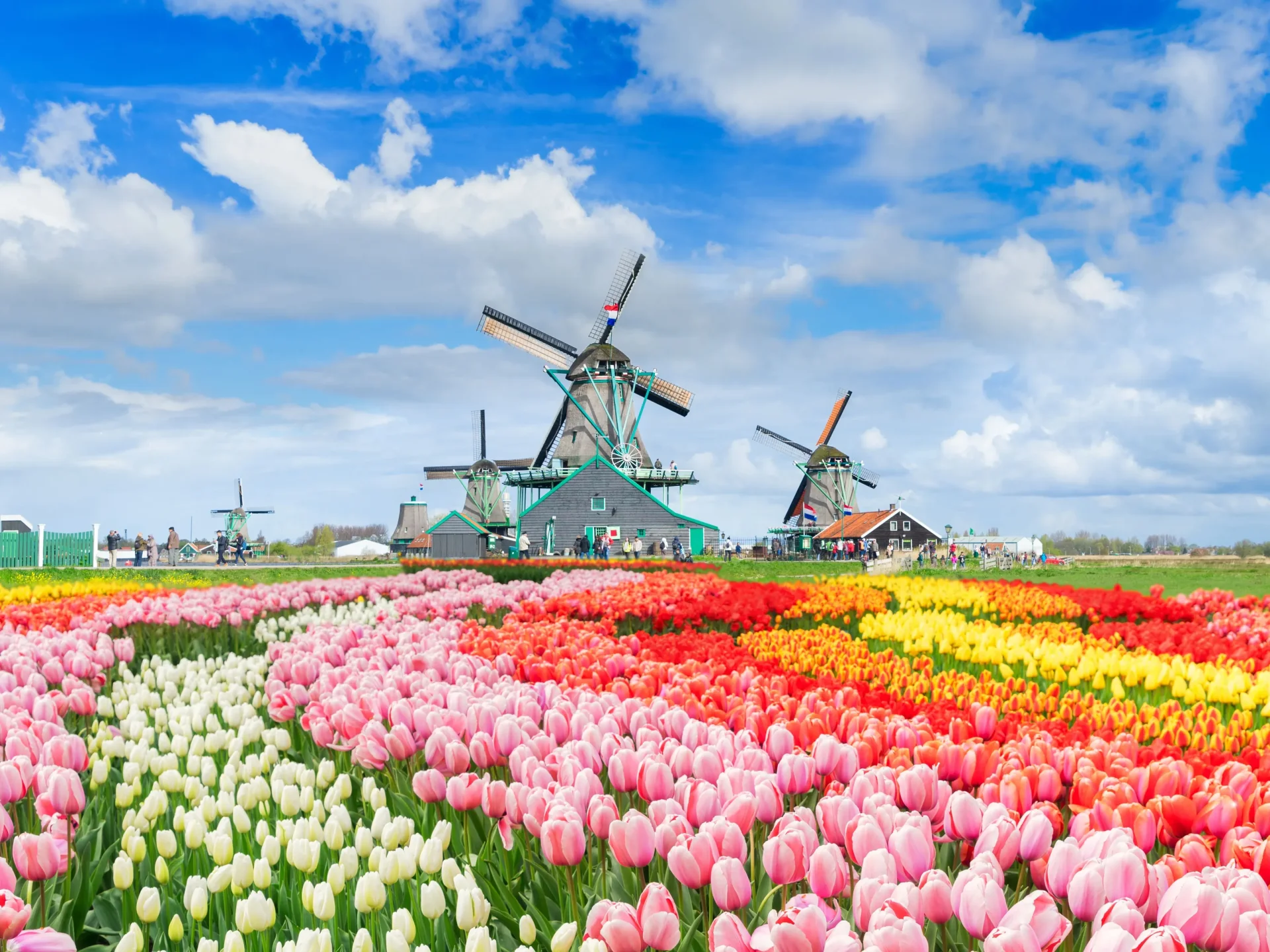 amsterdam1.webp