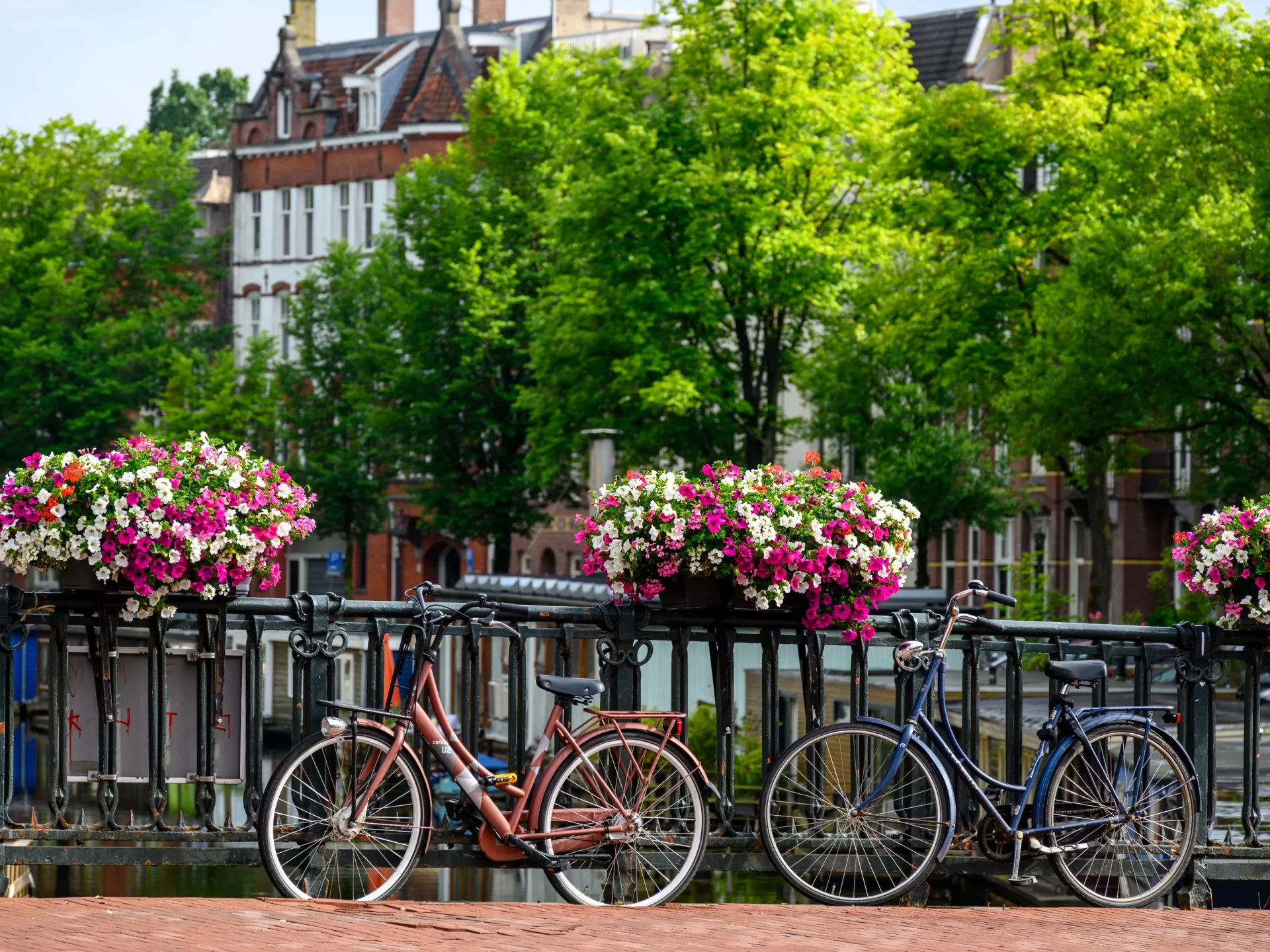 amsterdam3.webp