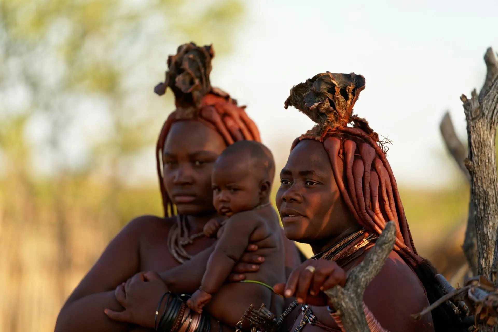 himba.webp