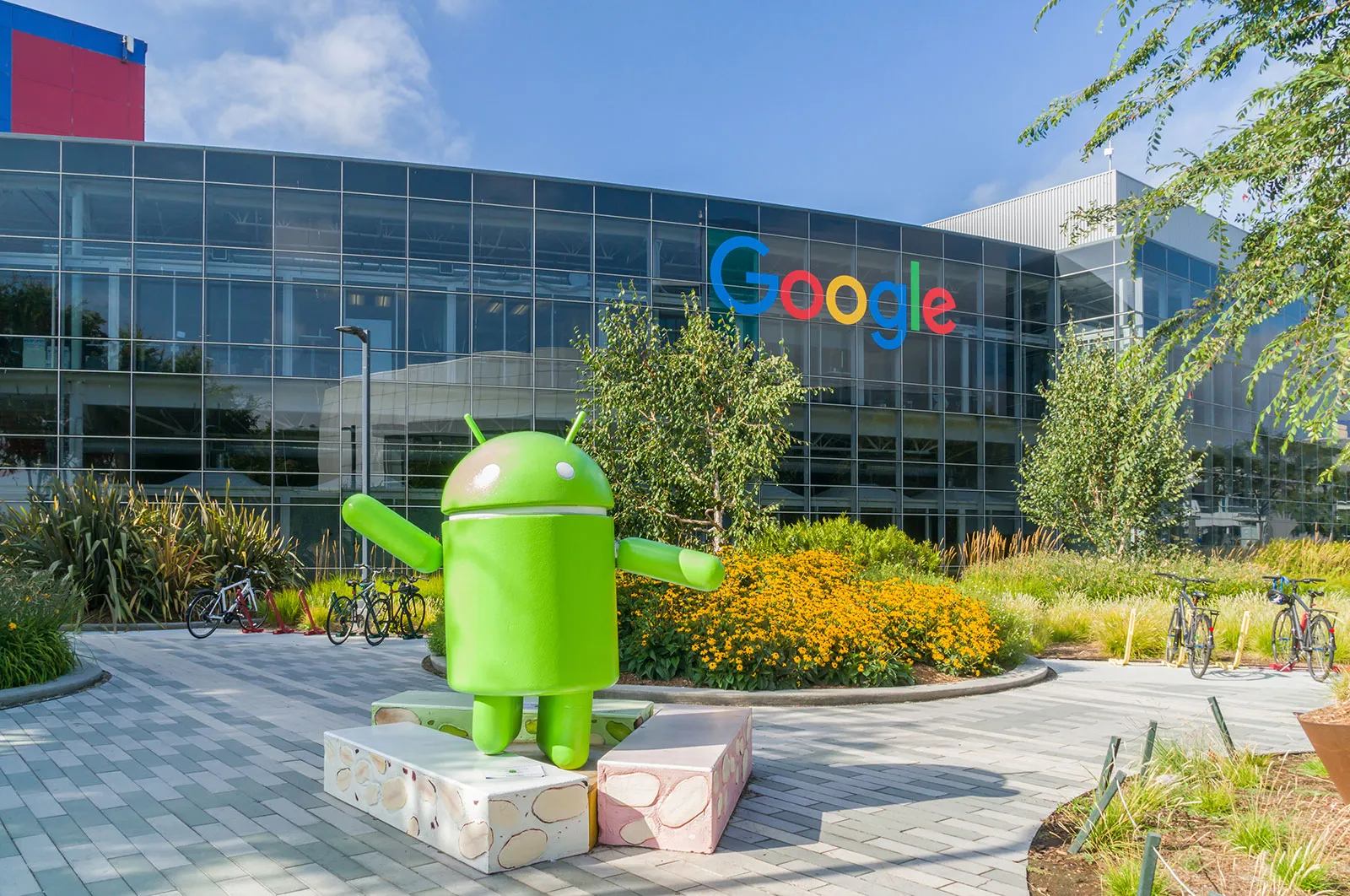 google1.webp