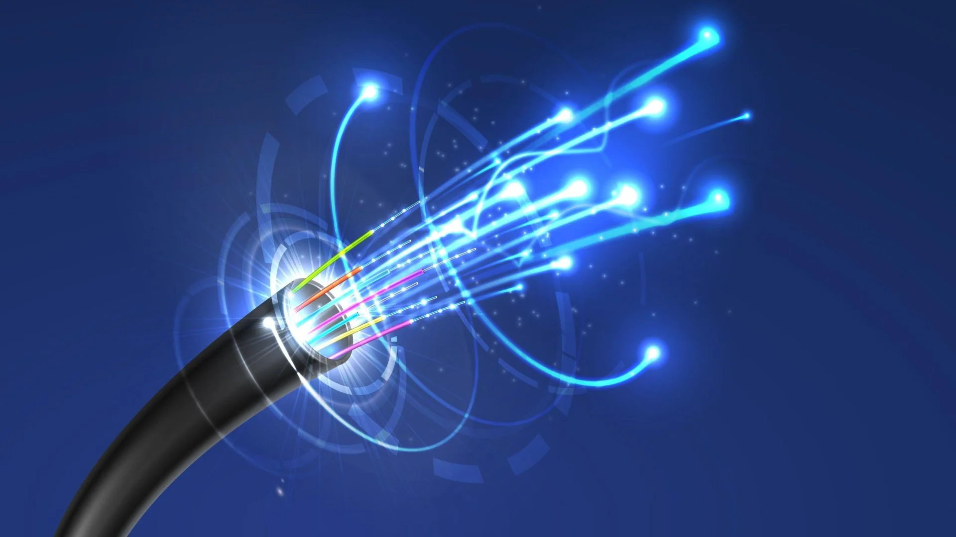 fiber.jpeg