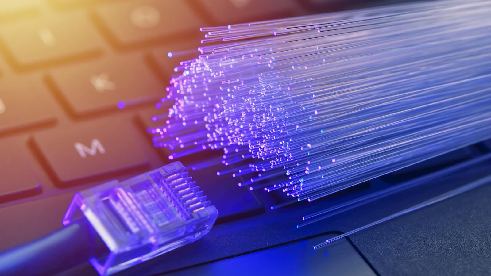 fiber1.jpeg