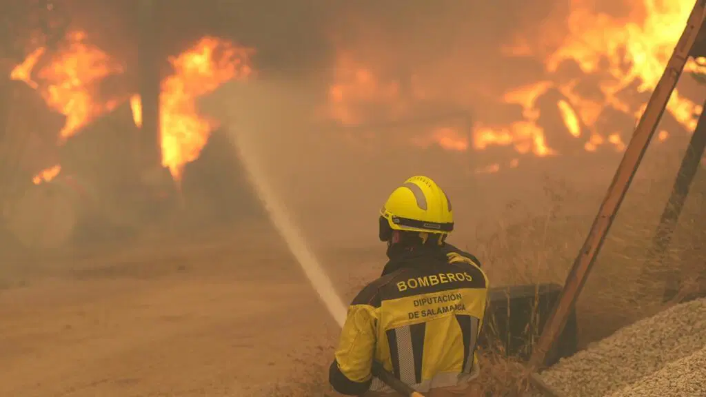 fire3.webp