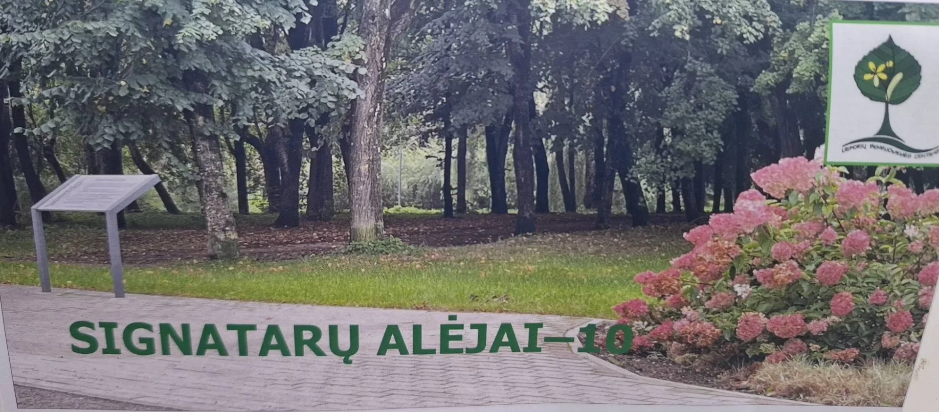 Unikaliai Šiaulių „SIGNATARŲ ALĖJAI“ – 10 metų