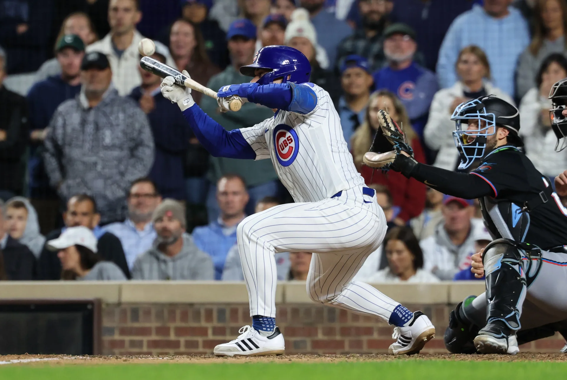 cubs.webp