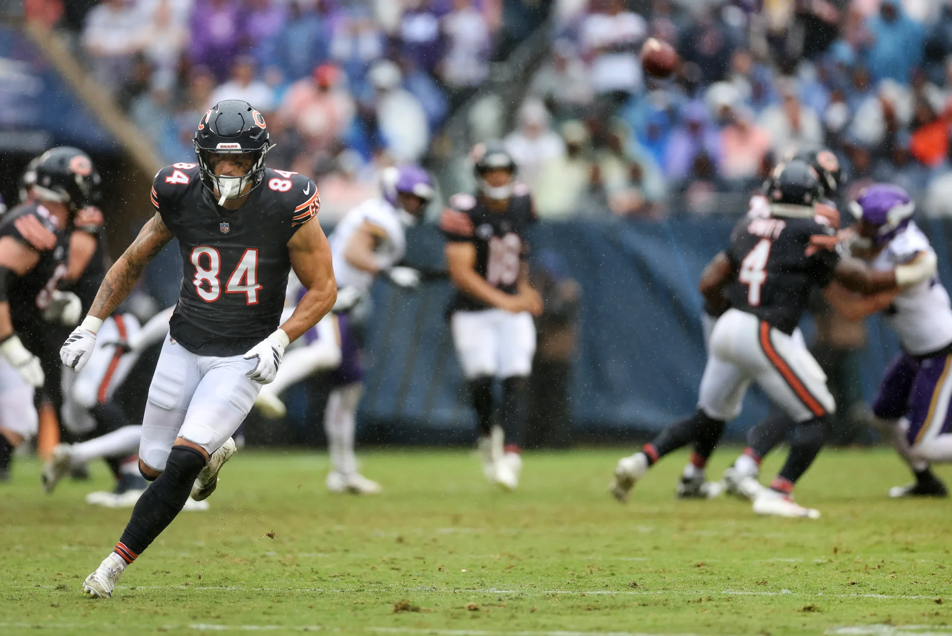 bears.webp