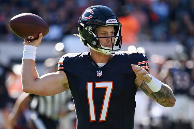 bears.jpg