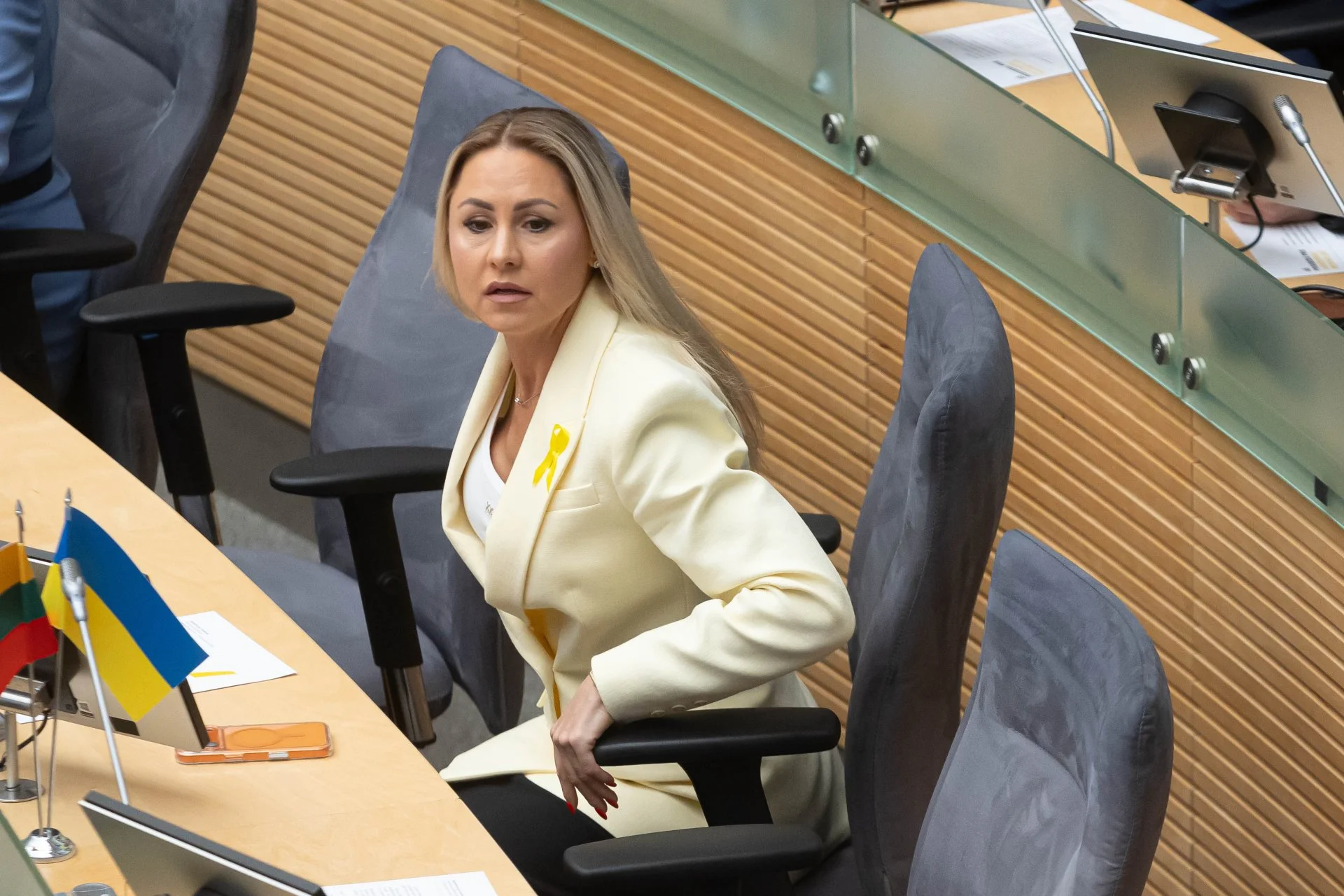seimas5.jpg