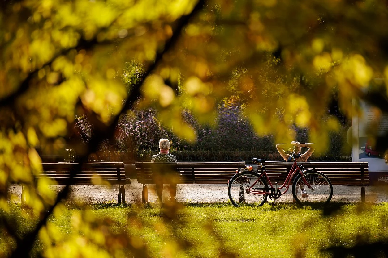 Bobų vasara, indėnų vasara, pastirmos vasara: kaip pasaulis vadina rudens šilumą