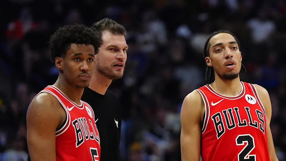 bulls.webp